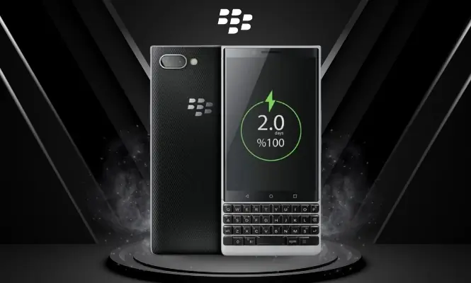 blackberry-category
